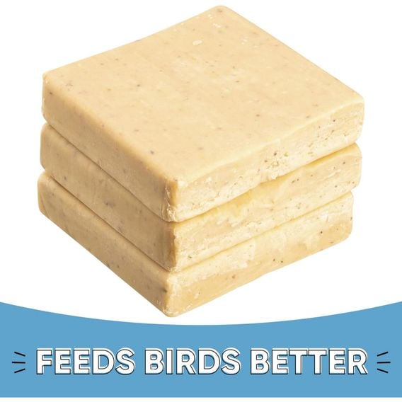 Happy Beaks - Insect & Mealworm Suet Blocks